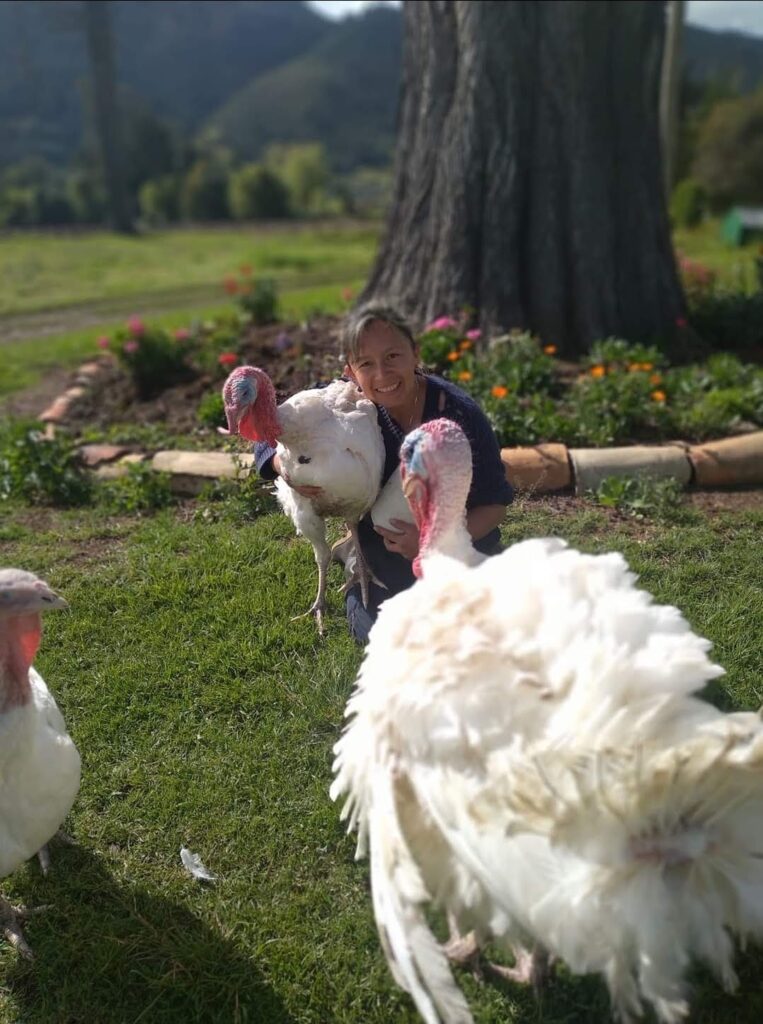 Screenshot_20210916-194447_Gallery